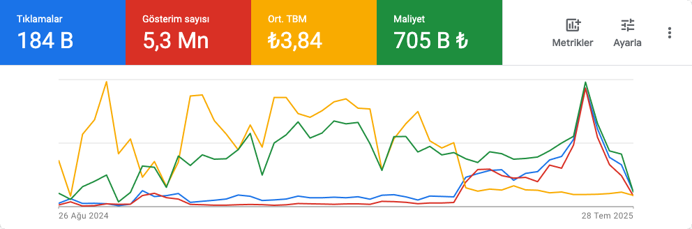 Google Ads Metrikleri